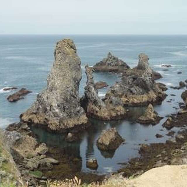 Sortie nature : ornithologie aux aiguilles de Port Coton