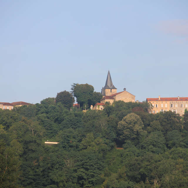 Des vignes, un paysage