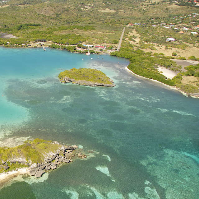 Îlet Rat