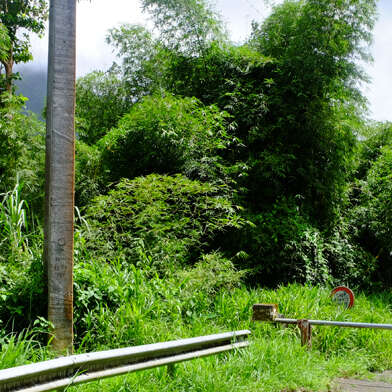 Fond Baron – Absalon