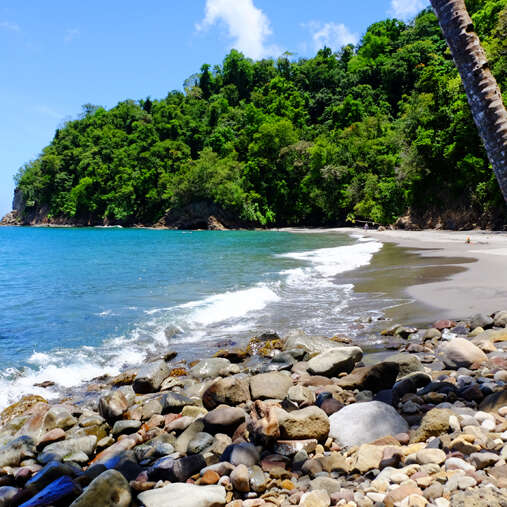 Plage de l'Anse Couleuvre