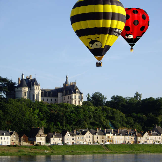 AEROCOM MONTGOLFIERE