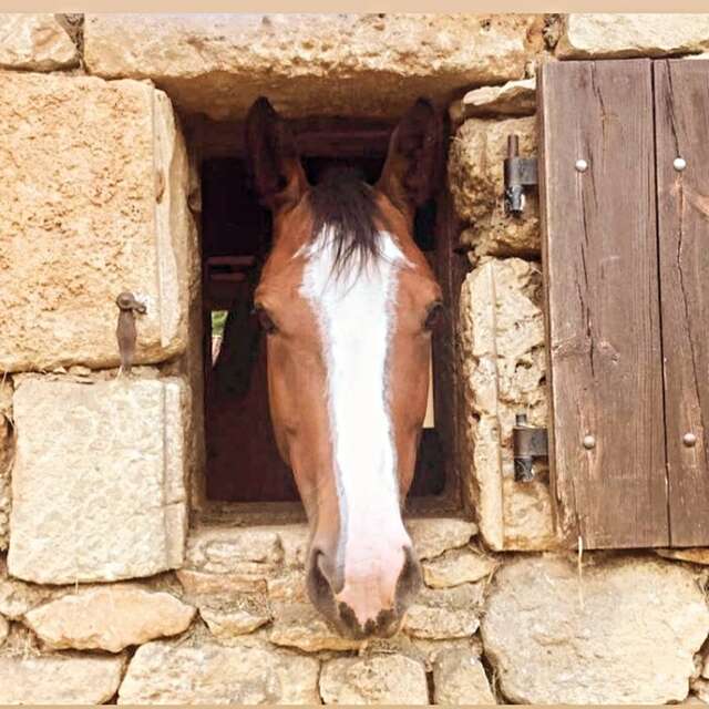 L'aventure à dos de poney !