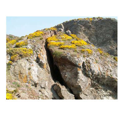 Sortie nature : Géologie, entre la plage de Donnant et Port Skeul