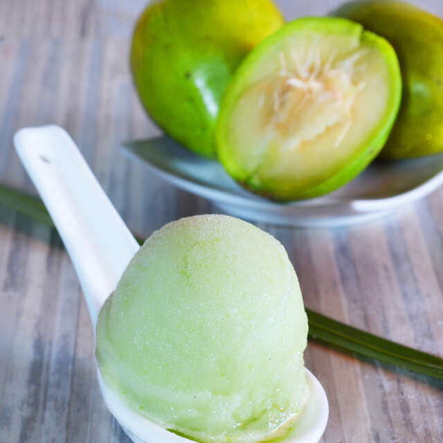 Ziouka Glaces