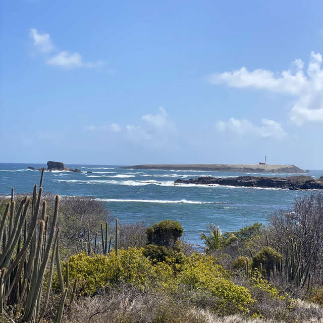 La Trace des Caps 4 : Anse Trabaud - Salines