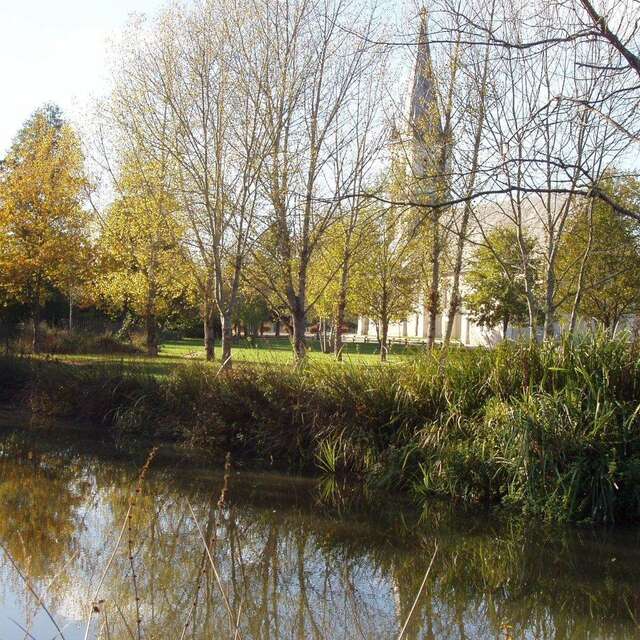 Forêt domaniale de Bracieux