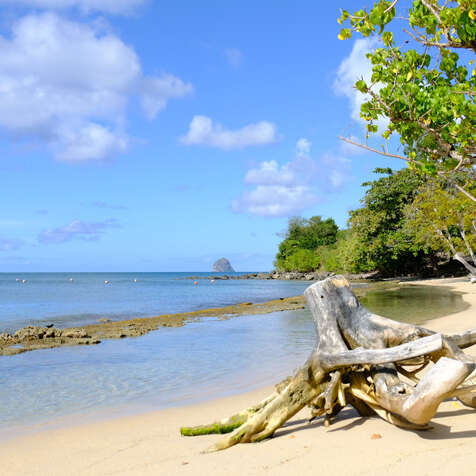 Plage de l'Anse Mabouya
