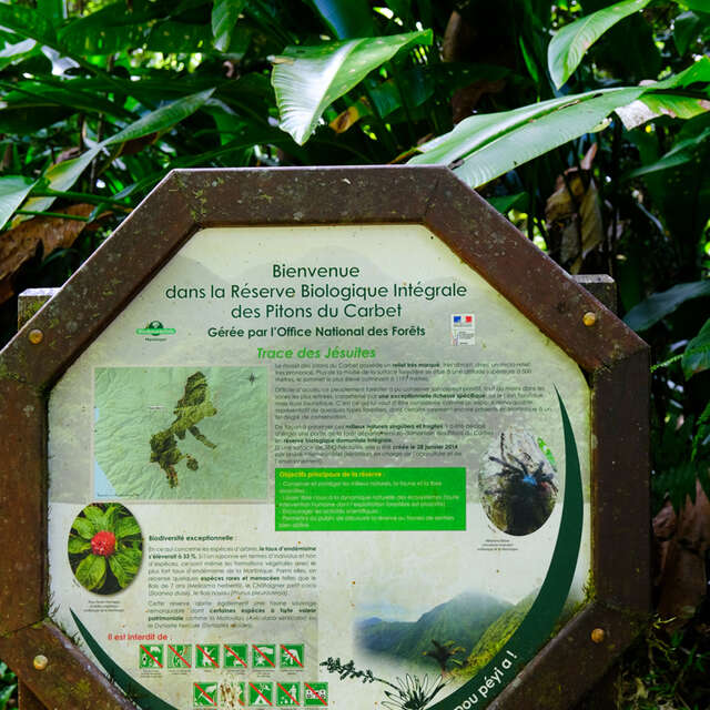 La trace des Jésuites