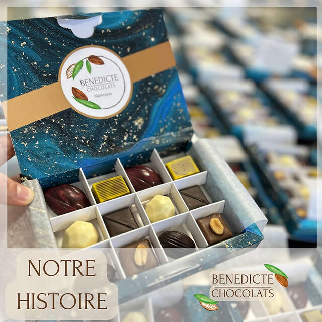Bénédicte Chocolats