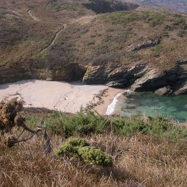 Plage de Port Collen