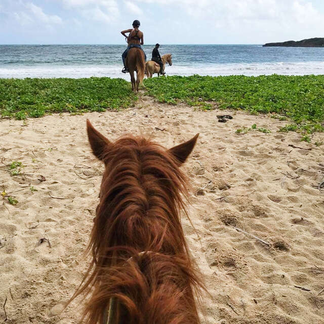 Ranch Anse Macabou