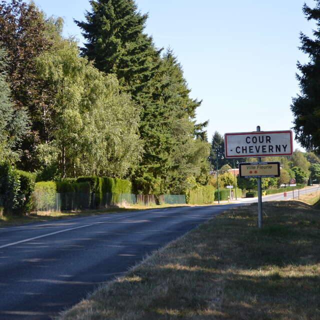 Les bruyères de Sérigny de Cour-cherverny