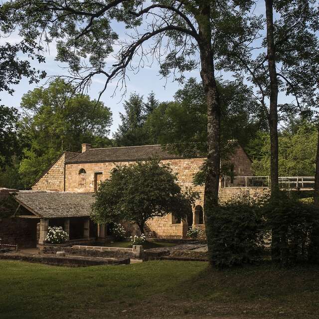 23- Le Sauvage
