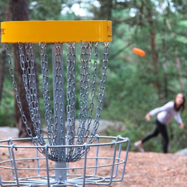 WOODY DISC GOLF