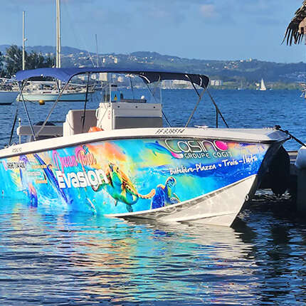 Dream Tour Evasion