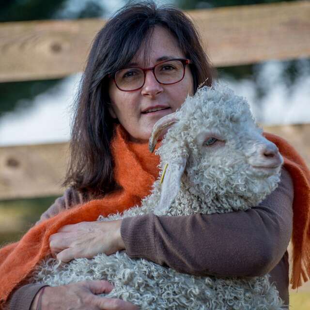 Le Mohair du Pays de Chambord