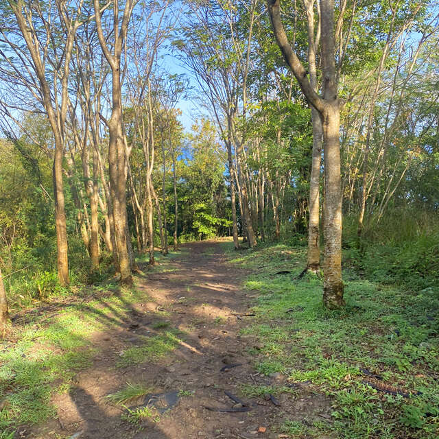 Anse à l'Ane - Anse Noire