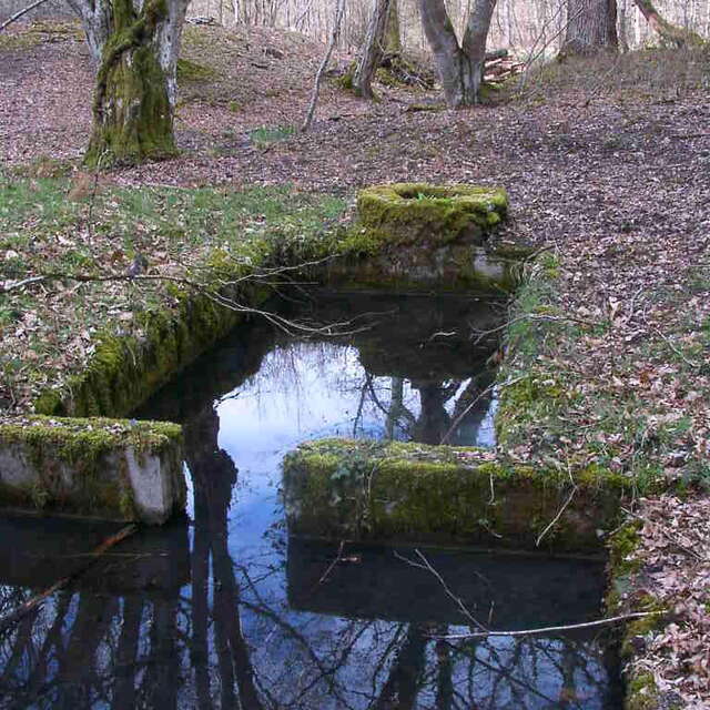 Rando Fontaines-en-Sologne - Chemin des Ogonnières