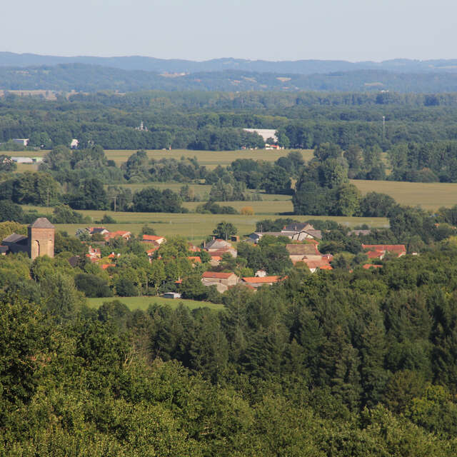 Sentier découverte de la forêt communale de Larreule