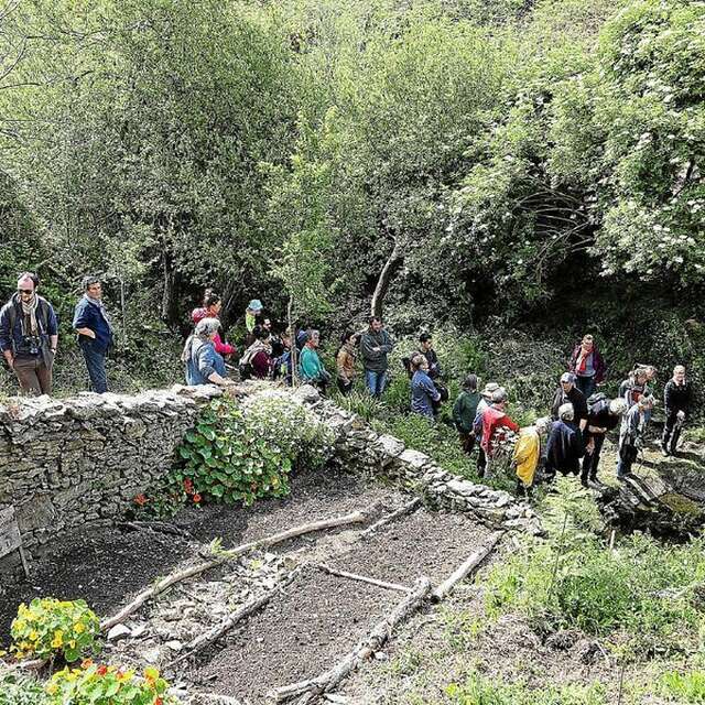 Chantier participatif au lavoir de La Métairie