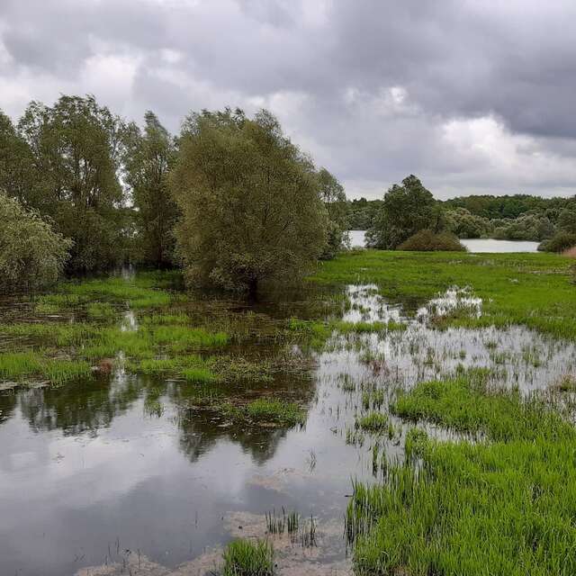 Le Vieux Der