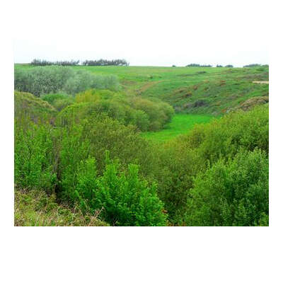 Sortie nature : Paysages intérieurs