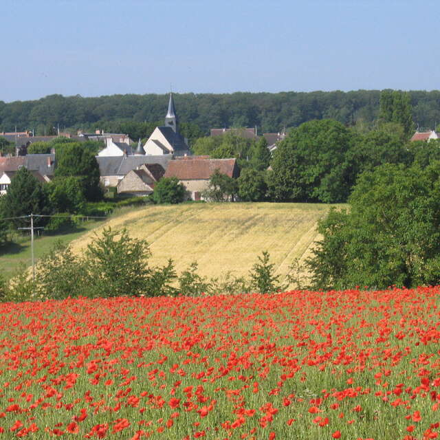 Circuit des Bourmains de Saint-Sulpice-de-Pommeray