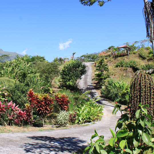 Plantation Beauvallon