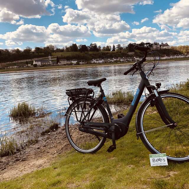 Station Bee's Chaumont sur Loire