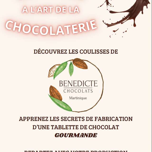 Initiation à l'art de la chocolaterie (Bénédicte Chocolats)