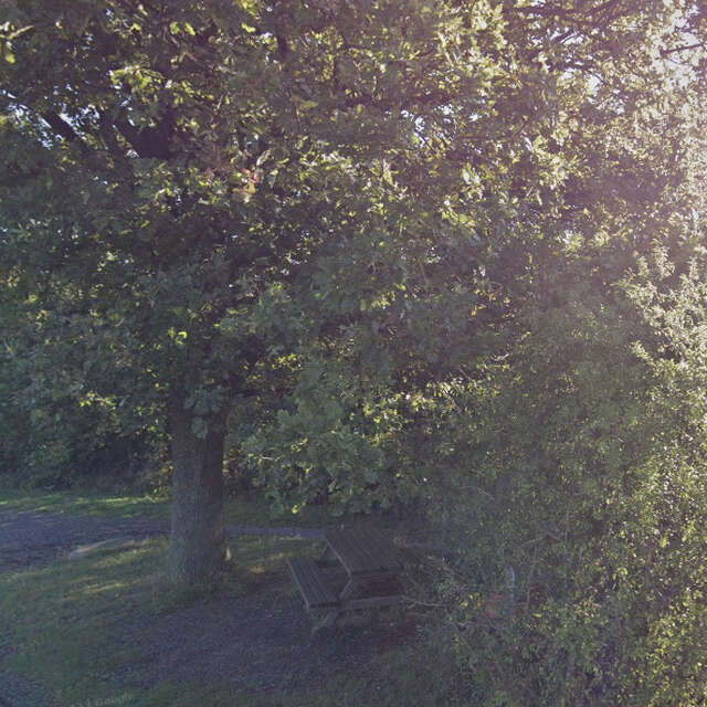 Picknickplatz in Héron