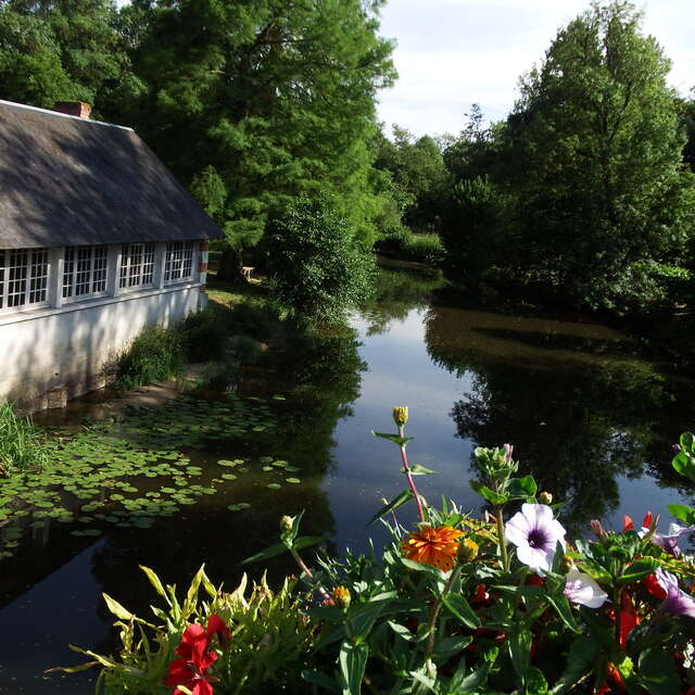 Châteaux et demeures de Cellettes
