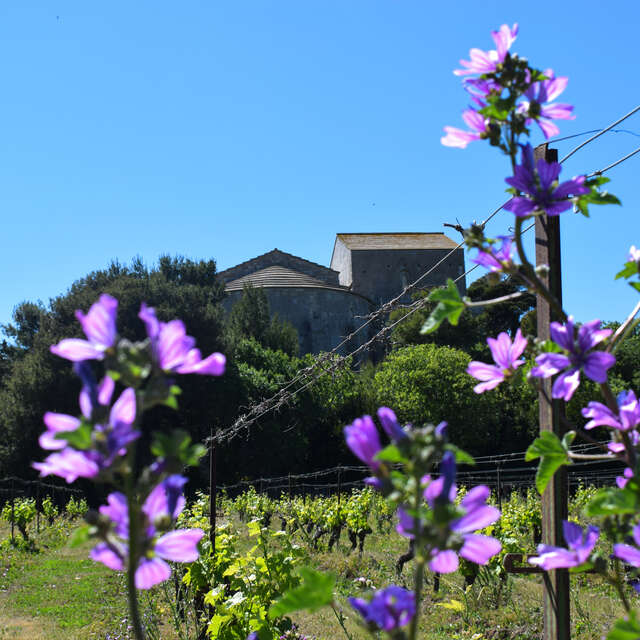 De Montpellier à la presqu'ile de Maguelone