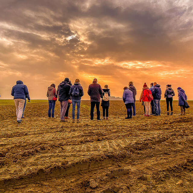 Safran de Cotchia 🖍