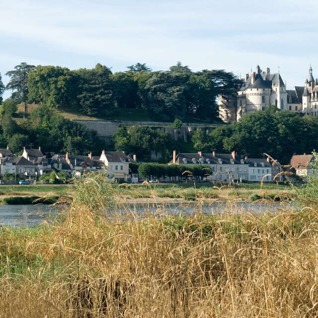 Rando Chaumont-sur-Loire - Les Frileuses