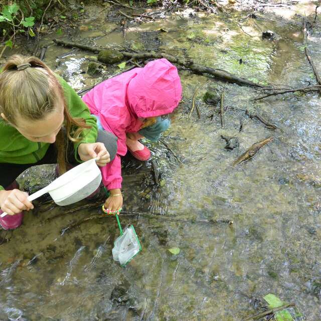 Contrat de Rivière Meuse Aval 🖍