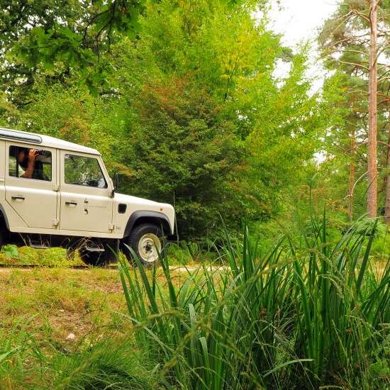 Besuch des Waldparks von Chambord im Geländewagen