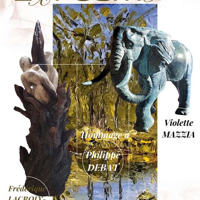 Expositions Hôtel de Maleville