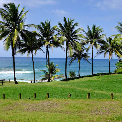 Plage de l'Anse Charpentier