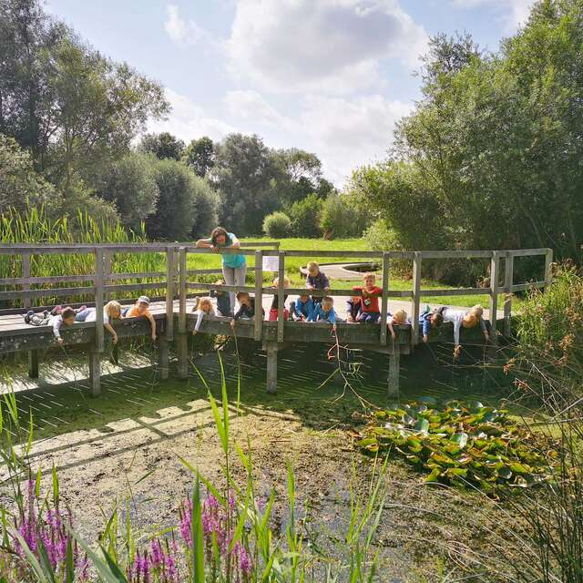 Village du Saule 🖍