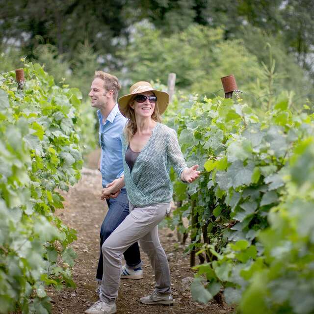 Huy Cité vigneronne 🖍