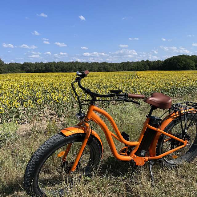Royal Fat Bike