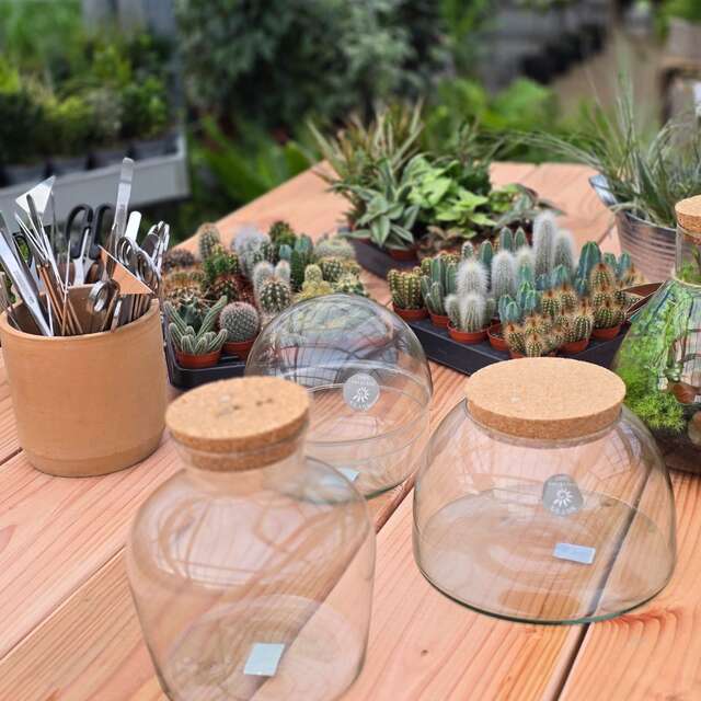 Atelier Terrarium à partager "parent(s) & enfant's)