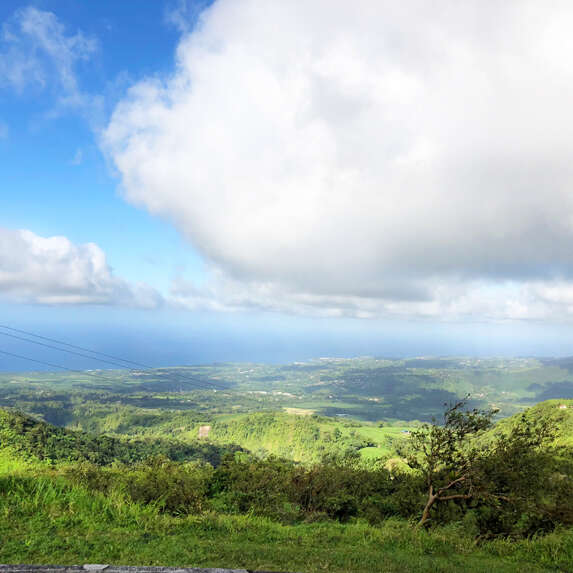 Point de vue (Aileron)