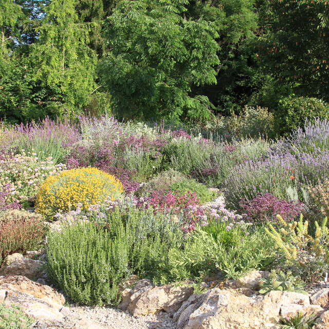 Le Jardin du Clos Saint-Lubin