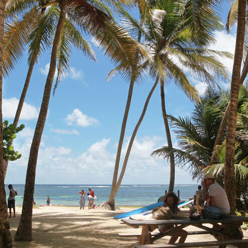 Plage de Cap Chevalier - Anse Michel