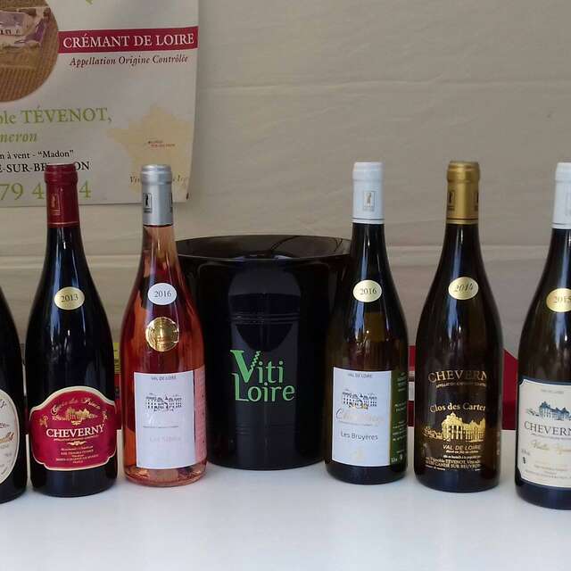Vignoble Tévenot