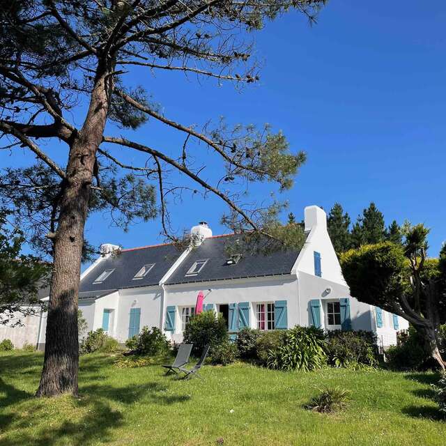 Allain Immobilier - BS06