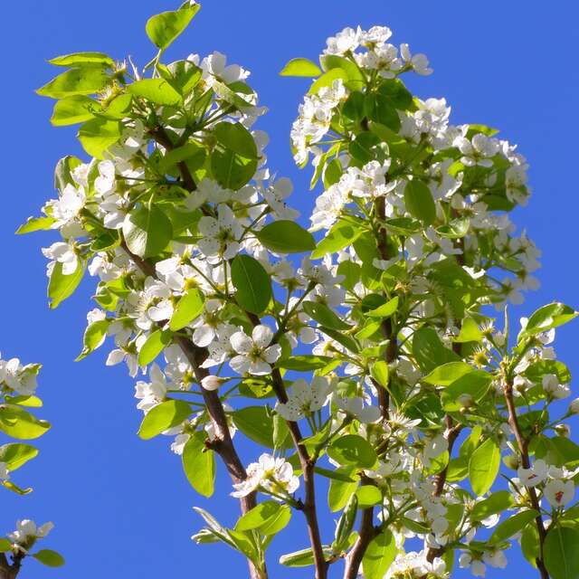 Le long de la Lange Beek